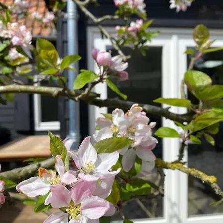 De Heer Van Bergen, Nh *